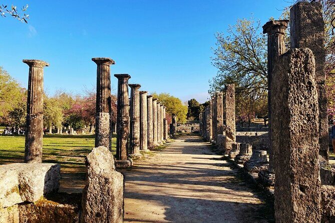 Half Day Olympia Private Tour - Who this private Olympia half-day is best for