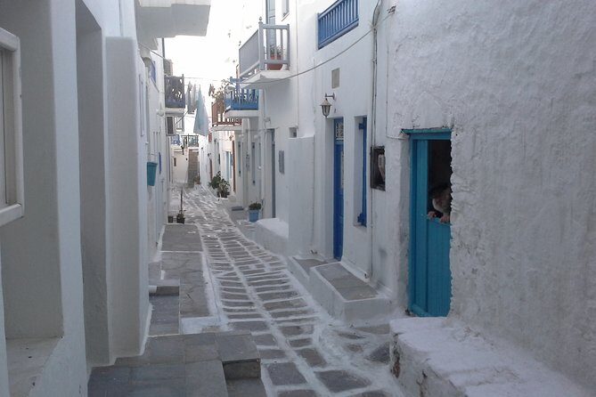 Half-Day Private Guided Tour in Mykonos - Ano Mera: Village Square Energy and Spinach Pie Break