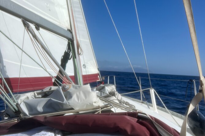 Half day Private Sailing cruise in Santorini island up to 6 pax - Mesa Pigadia, black volcanic shore, and sunset dinner