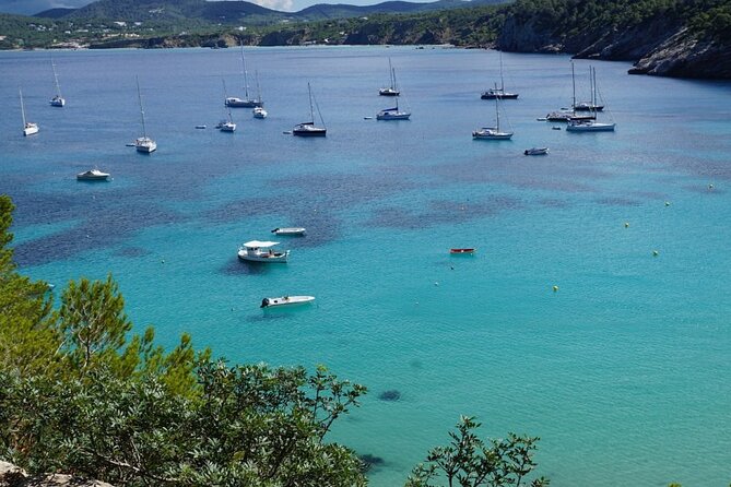 Half-Day Private Swimming Cruise along the Athenian Riviera - Is $2,206.96 good value for four hours?