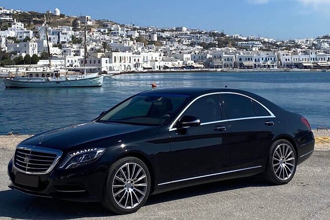 Half Day Private Tour in Mykonos Island with Local Experts - What the private format really adds