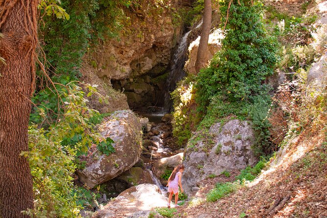 Half-Day Private Tour & Picnic in Real Cretan Countryside Retreat - Why this five-hour trip gets beyond Heraklion