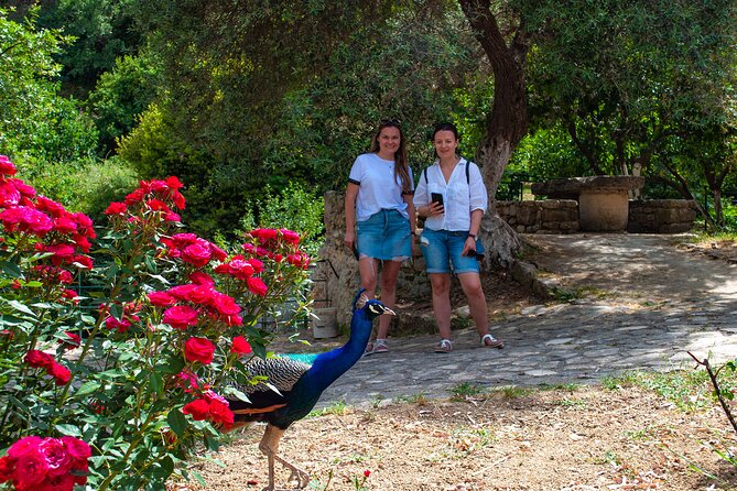 Half-Day Private Tour & Picnic in Real Cretan Countryside Retreat - What the private format is really worth