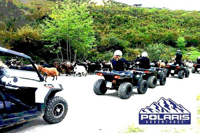 Half-Day Rethymno Quad Safari - Stop 2: Prassano Gorge and the Birds Overhead