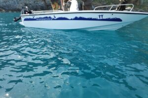 Half-Day Small-Group Boat Safari in Crete - From briefing to taking the wheel: how the safari runs in real life