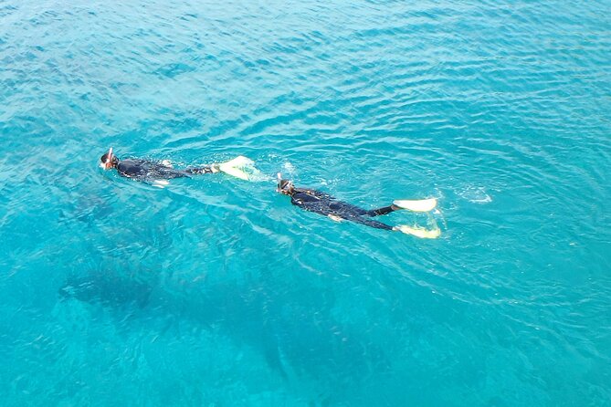Half Day Snorkelling Experience with a dive boat in Kos Greece - Snorkeling around Pserimos