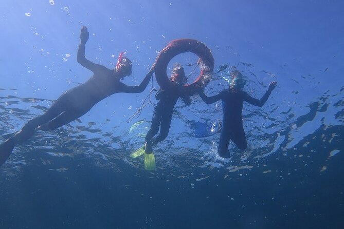 Half Day Snorkelling Experience with a dive boat in Kos Greece - Why the group size and staff matter