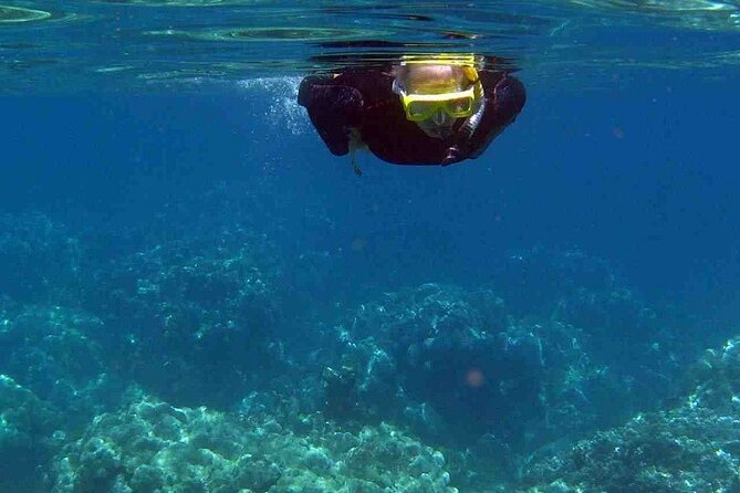 Half Day Snorkelling Experience with a dive boat in Kos Greece - Is $65.06 a fair price?