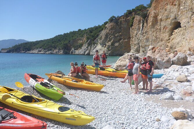 Half Day Tour - The swim stop: snorkeling gear and a fruit picnic reset