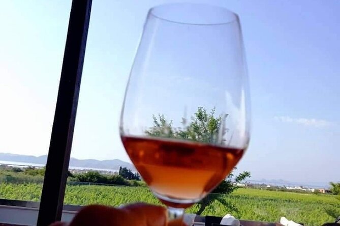 Half Day Wine Tasting with Dinner in Kos - Key points to know before booking