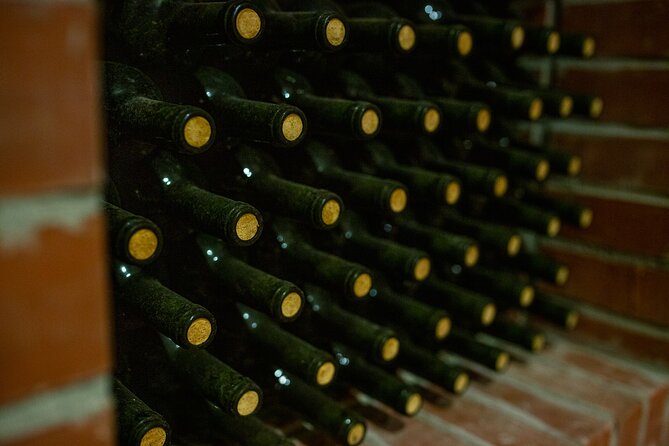 Half Day Wine Tasting with Dinner in Kos - Who will enjoy this Kos wine and dinner tour?