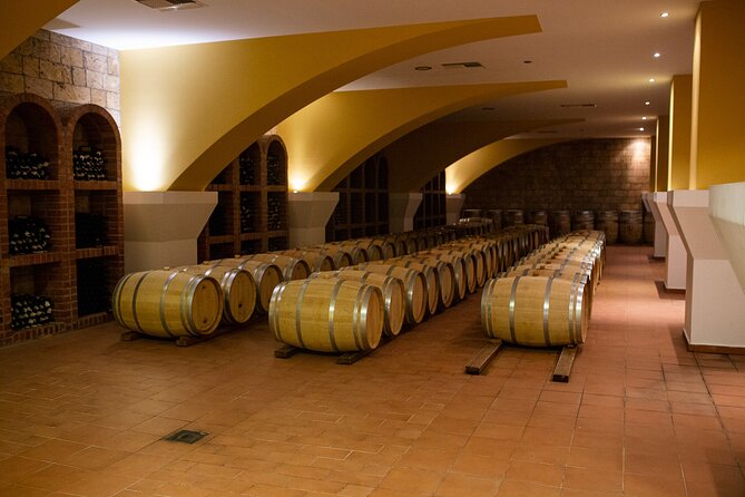 Half Day Wine Tasting with Dinner in Kos - Five wines, snacks, and useful guidance