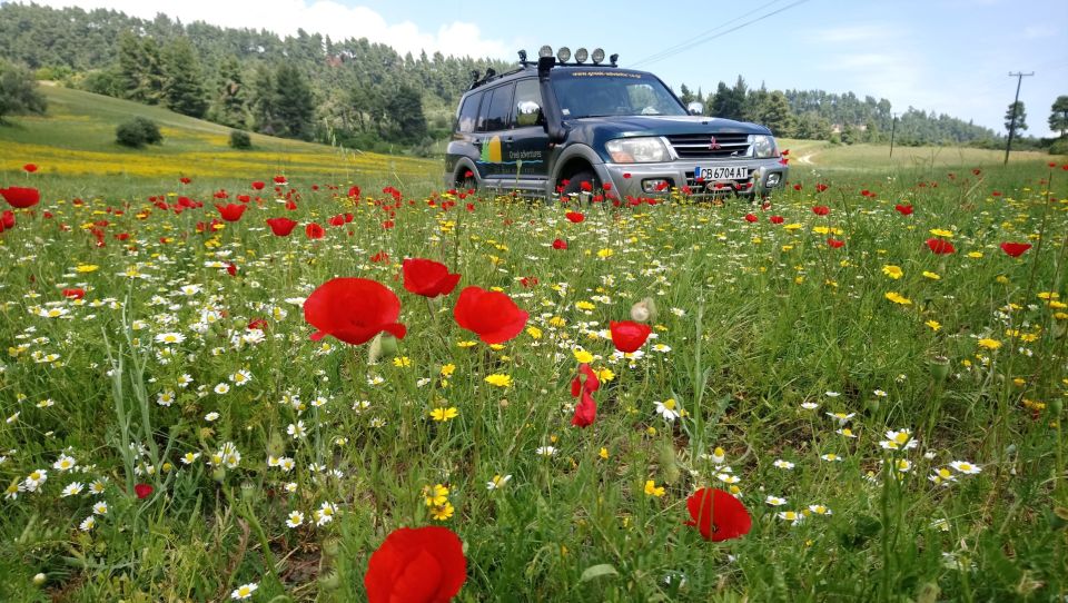 Halkidiki: Kassandra 4x4 Jeep Safari Off-Road Experience - Key points at a glance