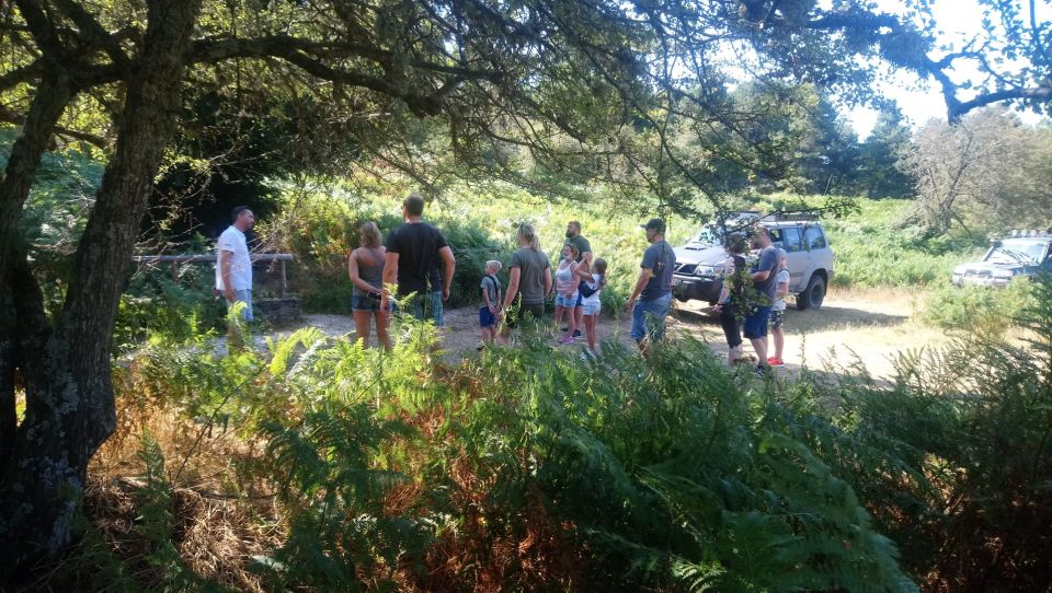 Halkidiki: Kassandra 4x4 Jeep Safari Off-Road Experience - Finishing at a family tavern above the coast