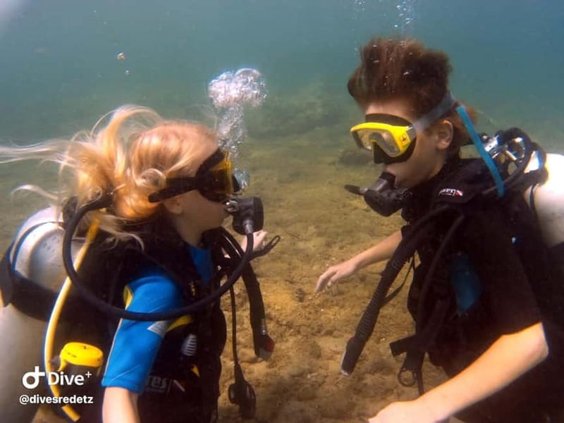 Halkidiki-Kassandra: Scuba Diving for Beginners - The 20-minute safety briefing