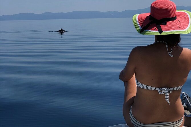 Halkidiki: Sithonia Private Full Day Cruise - Vourvourou Bay starts the day gently