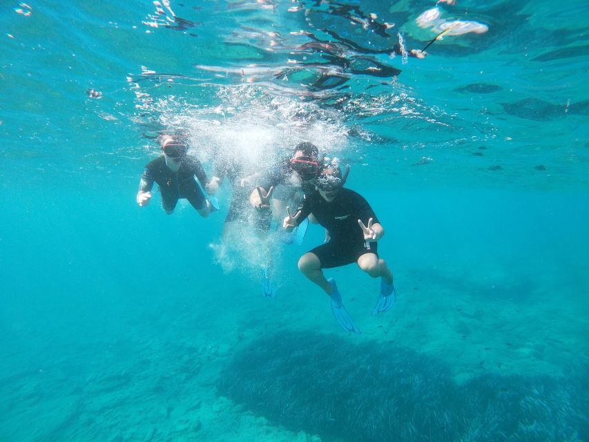 Heraklion: Beginner-Friendly Snorkeling Trip - Key Things I’d Mark as Your Must-Knows