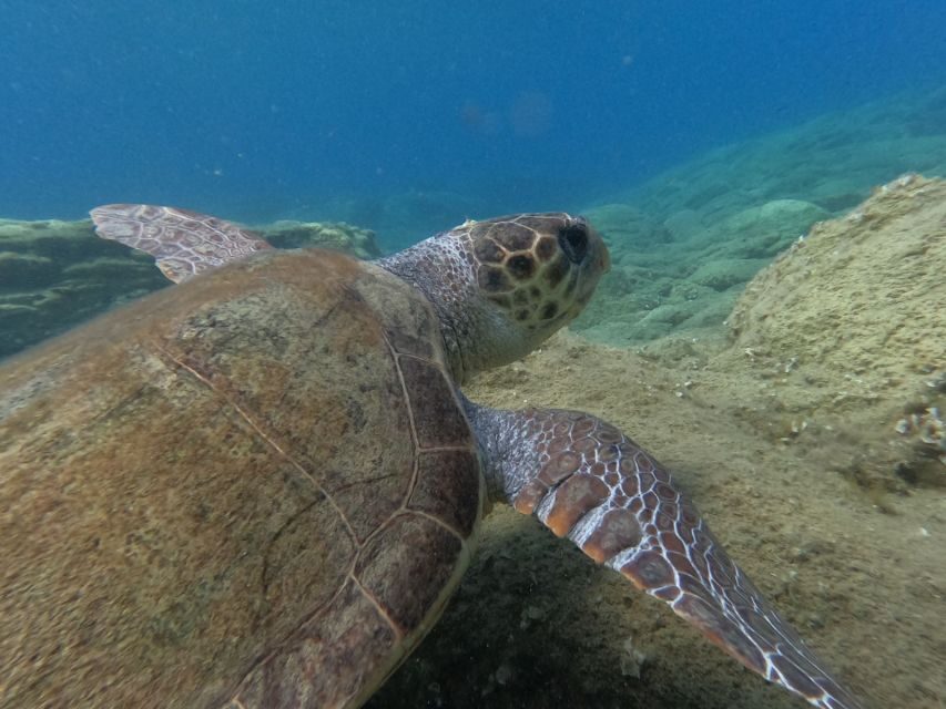 Heraklion: Beginner-Friendly Snorkeling Trip - What to Bring: Small Details That Make a Big Difference