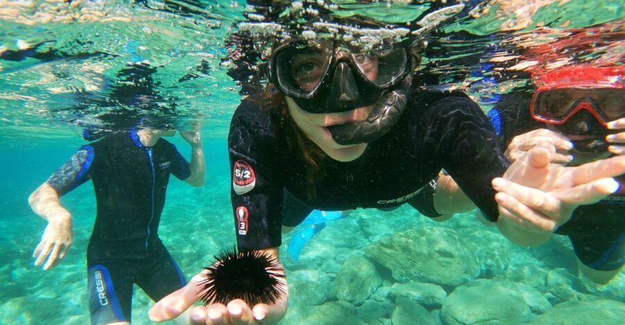 Heraklion: Beginner-Friendly Snorkeling Trip - Instructor Support: What You’re Paying For (Besides Gear)