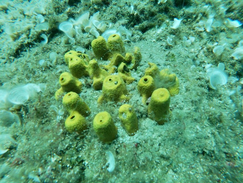 Heraklion: Beginner-Friendly Snorkeling Trip - Break Time and Photo Stop: Don’t Rush Off the Water