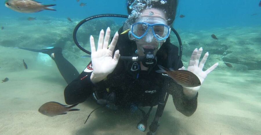 Heraklion: Beginner Scuba Diving Lesson with PADI Instructor - Key things I think you’ll notice right away