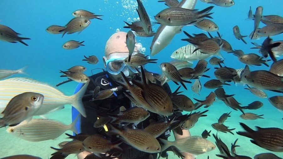 Heraklion: Beginner Scuba Diving Lesson with PADI Instructor - Gear, checklists, and the safety briefing that actually sticks