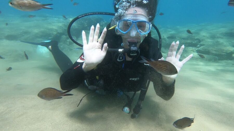 Heraklion: Beginner Scuba Diving Lesson with PADI Instructor - What you do in Agia Pelagia Bay (and how far you go)
