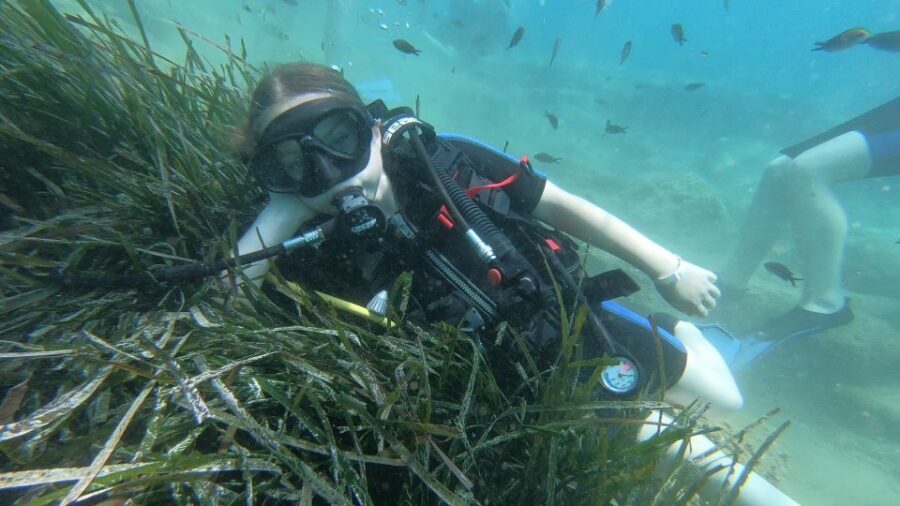 Heraklion: Beginner Scuba Diving Lesson with PADI Instructor - Price check: is $88 good value for a beginner lesson?