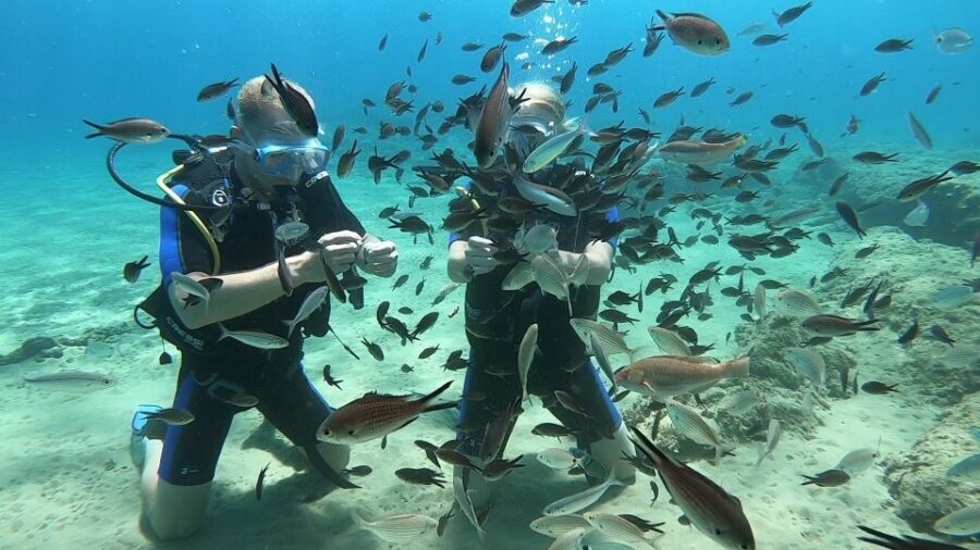 Heraklion: Beginner Scuba Diving Lesson with PADI Instructor - Who this Heraklion lesson fits best (and who should skip it)