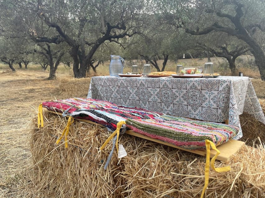 Heraklion: Cretan Farmers Brunch and Olive Grove Tour - A Cretan brunch built around farm food