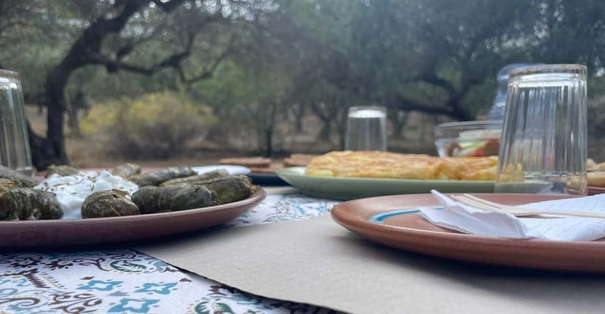 Heraklion: Cretan Farmers Brunch and Olive Grove Tour - Walking through the olive grove