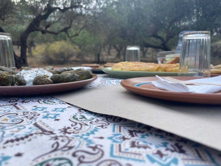 Heraklion: Cretan Farmers Brunch and Olive Grove Tour - The dragon fruit farm adds an unusual turn