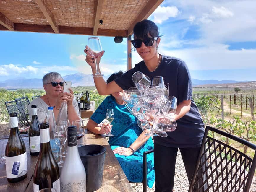 Heraklion: Cretan Wine Tasting Tour & Gourmet Lunch - Two Wineries and Vineyards: How You Get More Than One Style