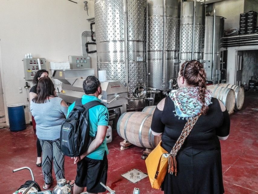 Heraklion: Cretan Wine Tasting Tour & Gourmet Lunch - Price and Value: Is $194 Worth It?