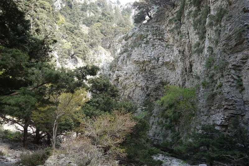 Heraklion Crete: Imbros Gorge Hike - Should you book the Imbros Gorge hike?