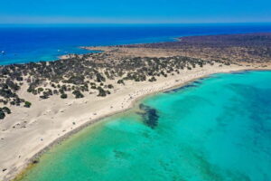 Heraklion: Cruise to Chrissi Island Natural Park with Pickup - From Heraklion to Ierapetra: the east-coast bus ride you actually use