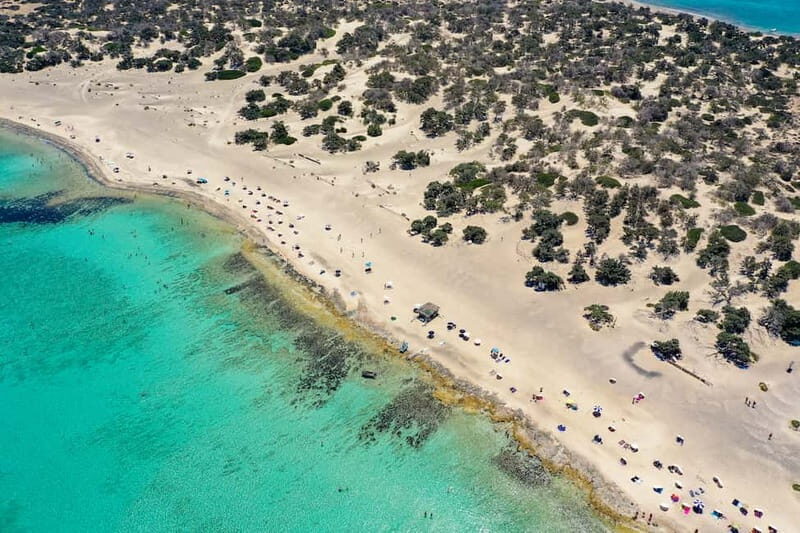 Heraklion: Cruise to Chrissi Island Natural Park with Pickup - Ferry to Chrissi: when the schedule turns into sea time
