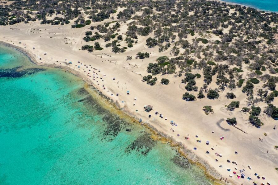 Heraklion: Cruise to Chrissi Island Natural Park with Pickup - Belegrina (Golden Beach) and the 50-meter swim plan
