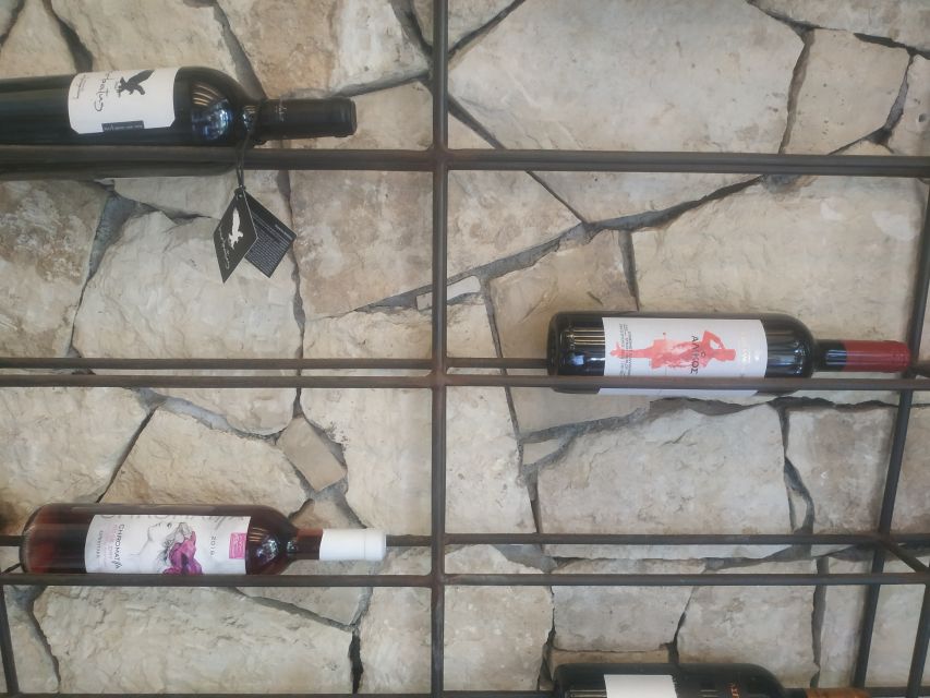 Heraklion: Ecobike Tour with Wine Tasting - Key points to know before you book