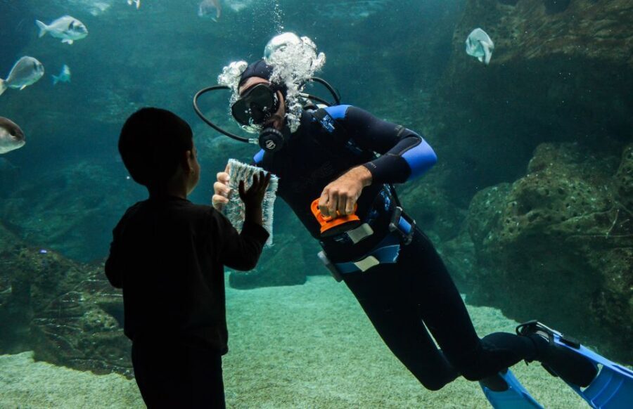 Heraklion: Heraklion Market & CretAquarium <em>SKIP The Line – Bus, Pickup Zones, and the Group Pace You’ll Actually Feel’ /><br />
This tour covers a wide area, which is convenient, but it can also mean more time on the road than you’d expect.</p>
<p><p>Pickup is available from several locations around Heraklion and the north coast, including places like <strong>Malia, Stalis, Hersonissos, Analipsi, Anissaras, Gouves, Gournes, Kokkini Chani, Karteros, and Gazi</strong>, with drop-offs back to those same zones. There’s also a mention of pickup from Sissi, so double-check your confirmation details.</p>
</p>
<p><p>The schedule is designed for efficient movement: aquarium first, then Heraklion sightseeing, then return. Even when the bus ride is necessary, it can feel like dead time if you’re hoping to maximize walking.</p>
</p>
<p><p>This matters most if you’re the type who hates waiting. If you can handle riding for a while, you’ll appreciate the structure. If you’re sensitive to long transit days, consider bringing something to do—light reading, offline music, or simple games for kids.</p>
</p>
<p><p>One more “know before you go” item: the tour is <strong>not suitable for wheelchair users</strong>. And infants sit with parents and don’t have their own seats on the bus.</p>
</p>
<h2 id="price-and-value-what-makes-it-worth-24-plus-aquarium-entry">Price and Value: What Makes It Worth $24 Plus Aquarium Entry</h2>
<p><img width="800" height="450" decoding="async" src=