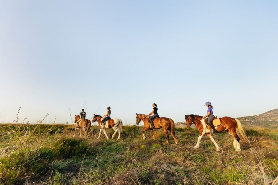 Heraklion: Horse Ride in the Cretan Mountains - Why Finikia horse riding is a smart Heraklion mountain break
