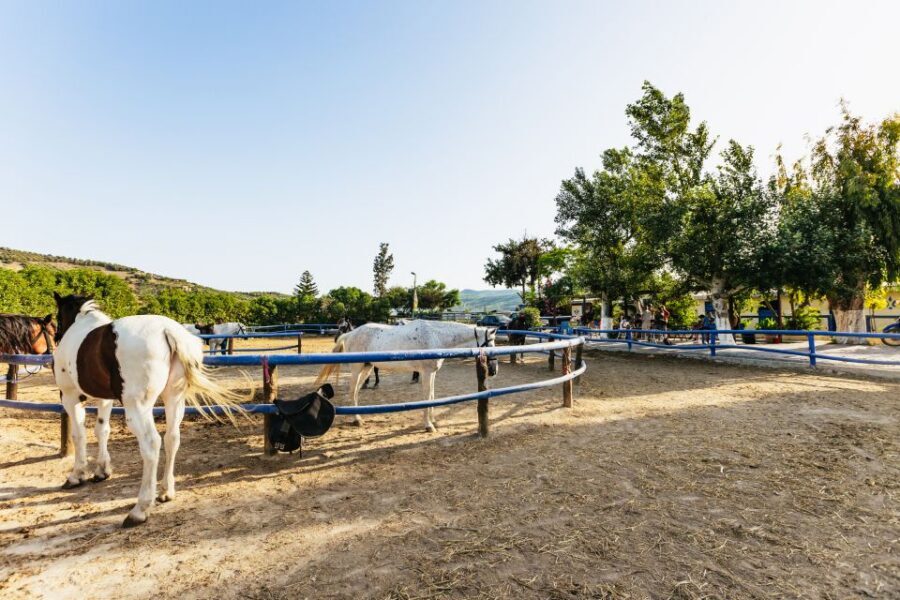 Heraklion: Horse Ride in the Cretan Mountains - Giouhtas mountain and Agios Silas: why the views matter