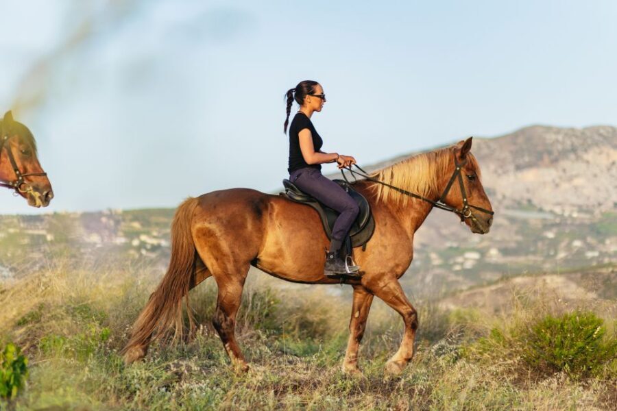 Heraklion: Horse Ride in the Cretan Mountains - Breaks, photos, and the included orange juice (plus extra farm hospitality)