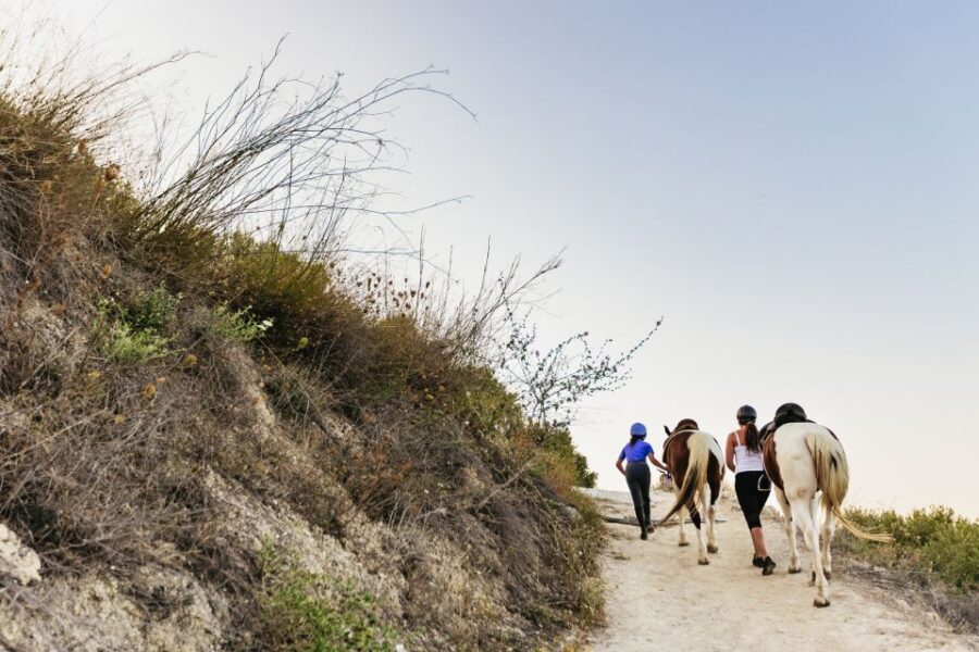 Heraklion: Horse Ride in the Cretan Mountains - Price and value: what $70 covers in real terms