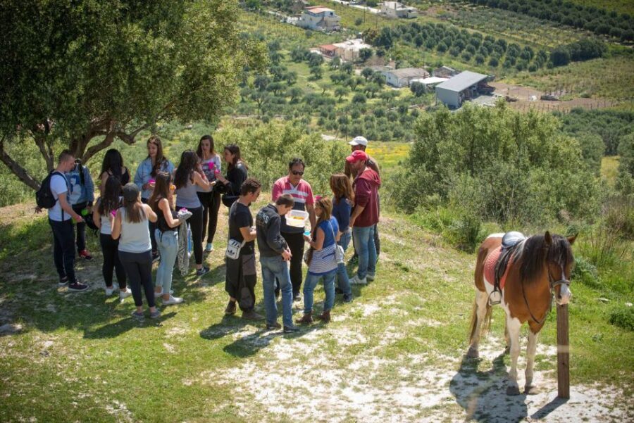 Heraklion: Horseriding Day Tour with Lunch and Transfer - Key highlights at Finikia Horse Riding near Heraklion