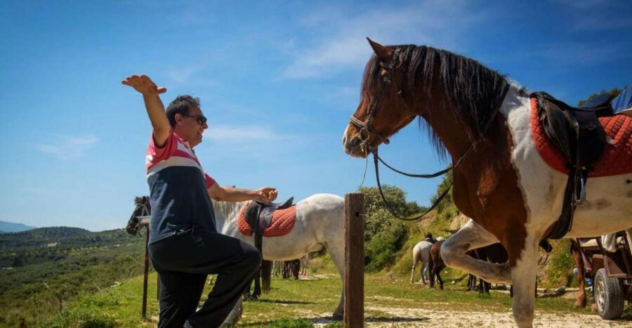 Heraklion: Horseriding Day Tour with Lunch and Transfer - The summit picnic: raki, fruit, and the Mount Zeus view