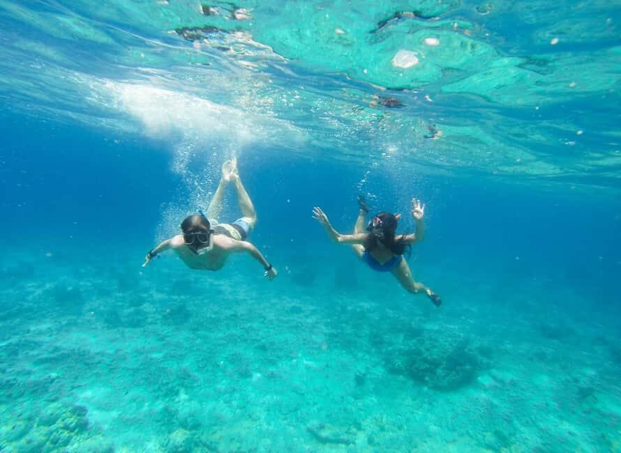 Heraklion Luxury Sailing Catamaran Dia Island | Gourmet Menu - Golden Light Back to Heraklion Plus Wildlife Spotting