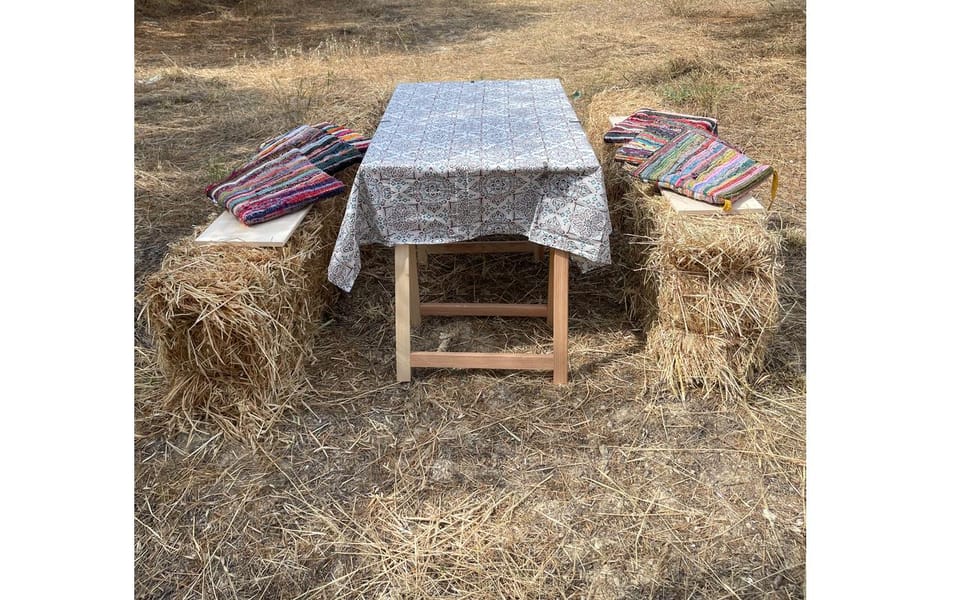 Heraklion :Olive & Dragon Farm Tour & Cretan Farmers Brunch - An olive grove with a family story