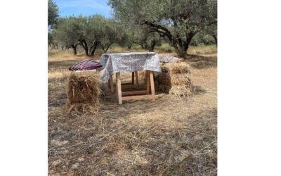 Heraklion :Olive & Dragon Farm Tour & Cretan Farmers Brunch - Learning olive farming beyond the harvest season