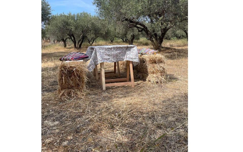 Heraklion :Olive & Dragon Farm Tour & Cretan Farmers Brunch - Learning olive farming beyond the harvest season